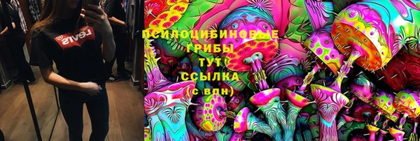 шишки Бугульма