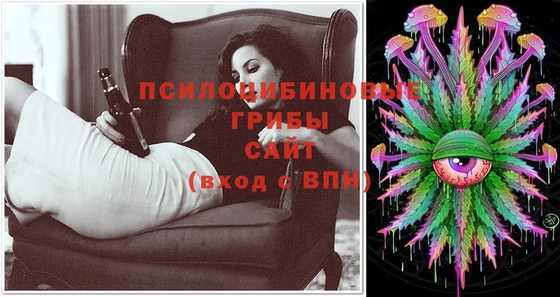 hydra ССЫЛКА  Владикавказ  Псилоцибиновые грибы Cubensis 