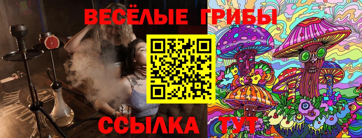 Псилоцибиновые грибы прущие грибы Владикавказ