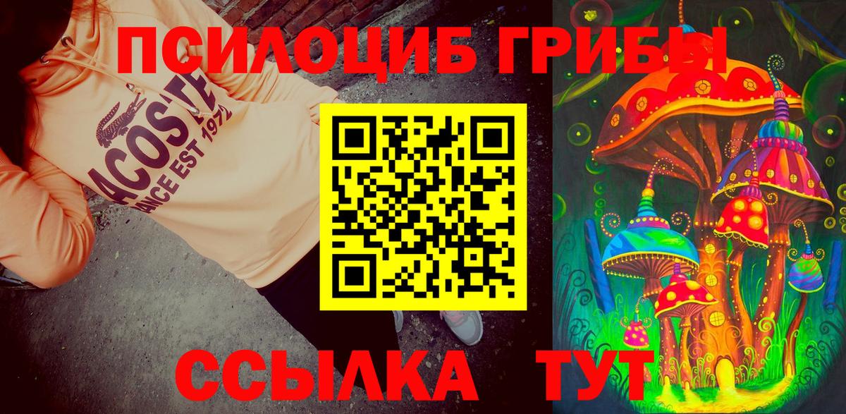 Галлюциногенные грибы ЛСД Владикавказ