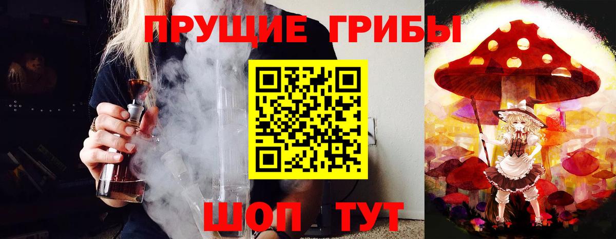 сколько стоит  Галлюциногенные грибы Cubensis  Владикавказ  Галлюциногенные грибы Cubensis 