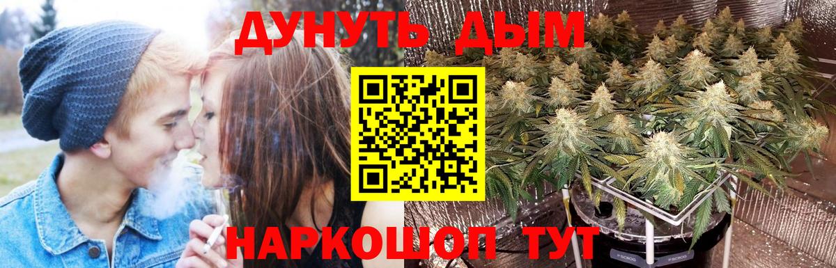 Марихуана AK-47  Вход с VPN  Каннабис White Widow  Каннабис Amnesia  Владикавказ 
